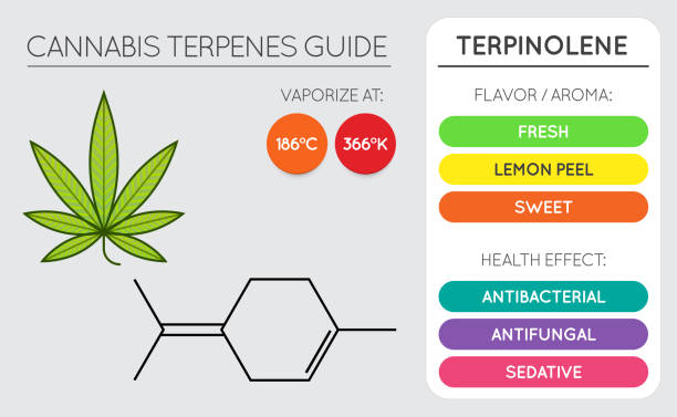 What is Terpenes