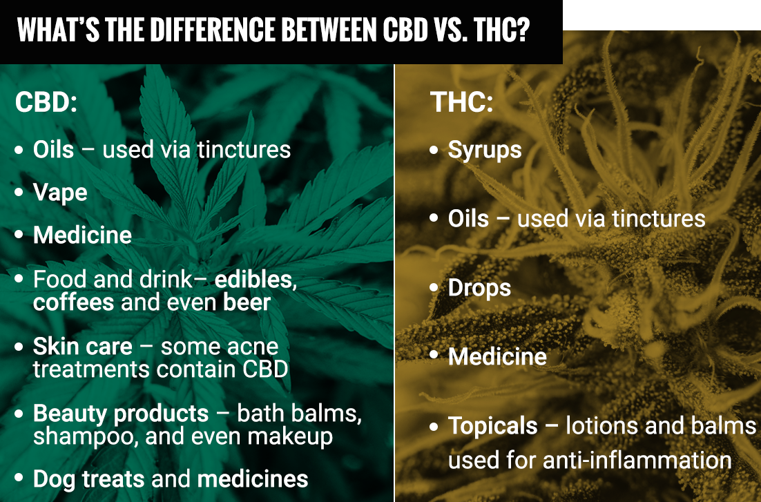 What's the difference between THC and CBD?